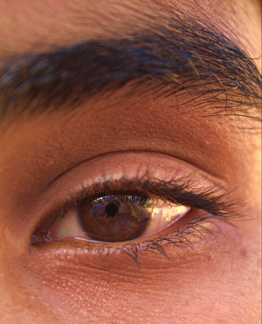 Σχηματισμός & Βαφή Φρυδιών